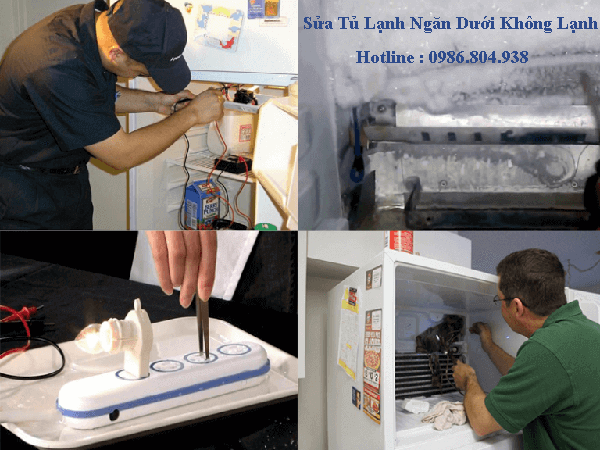 Sửa Tủ Lạnh Ngăn Dưới Không Lạnh Tại Hà Nội