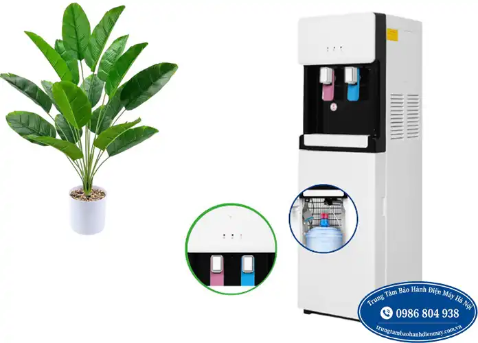 Sửa cây nước Kangaroo gãy vòi tại Hà Nội