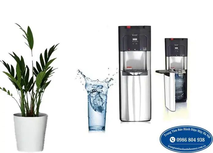 Sửa cây nước nóng lạnh Sharp tại Hà Nội