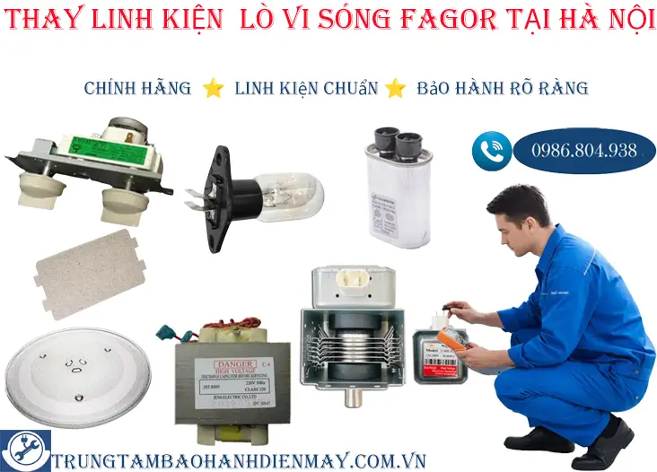 Thay linh kiện lò vi sóng Fagor chính hãng