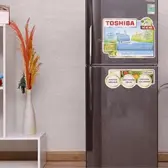 Sửa Tủ Lạnh Toshiba Không Lạnh Tại Hà Nội