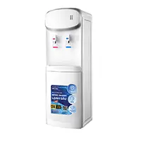 Bán Và Thay Vòi Cây Nước Nóng Lạnh EBenri Tại Hà Nội